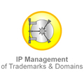 IP-management-of-trademarks-and-domains