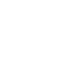 Motorists Party