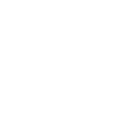 Civil Liberties and Motorists Party