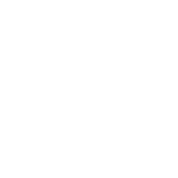 Thriving Minds