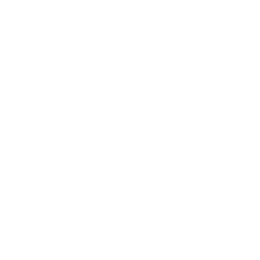 Propel Development Services